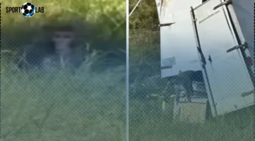 بالفيديو.. انقلاب شاحنة تقل قرودًا مصابة بالكبد الوبائي والهربس وكورونا بميسيسيبي